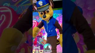 Chase  PAW PATROL 💙🐾 pawpatrol patrullacanina musicainfantil cancionesinfantiles shorts [upl. by Anahsar]