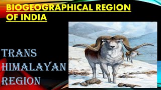 BIOGEOGRAPHICAL ZONES OF INDIA for UPSC  TRANSHIMALAYAN REGION UPSC [upl. by Huba]