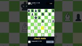 Chess Check mate 1 [upl. by Knitter]