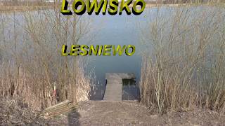 Karpiowanie 2019 Łowisko Leśniewo [upl. by Dolloff601]