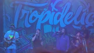 Tropidelic  IDWD Feat Quasi Kings Bogarts Cinci 1272024 20241207 220246 [upl. by Chuck142]