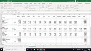 Plan Economico Financiero en Excel [upl. by Lienad846]