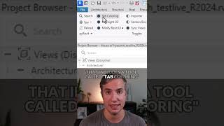 Colored Tabs in Revit [upl. by Alexandr]