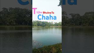 Tujhe bhulna to chahasong sadsong shortsfeed youtubeshorts Kushalgautam318tom [upl. by Hyacinthie]