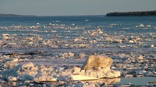 Счастливые люди  Енисей  Весна серия 1  Дмитрий Васюков [upl. by Ander]