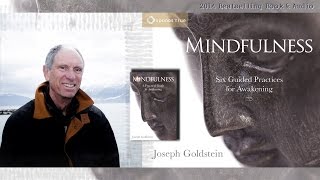 Joseph Goldstein – Mindfulness A Practical Guide to Awakening Audio Excerpt [upl. by Assedo867]