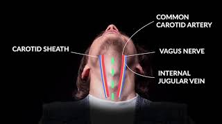 How to Perform An Emergent Cricothyrotomy Emergency Medicine  Your Design Medical [upl. by Hanan949]