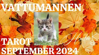 Vattumannen ♒️ September 2024 Tarot  Healer K [upl. by Eddana322]