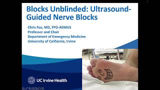 Basic Ultrasound Guided Nerve Blocks [upl. by Rumit315]