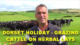 DORSET HOLIDAY  GRAZING CATTLE ON HERBAL LEYS [upl. by Berneta246]