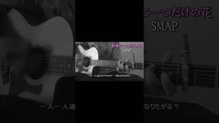 世界に一つだけの花  SMAP 弾き語り cover shorts [upl. by Ahsaei]