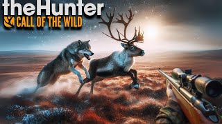 Insane Trophy Reindeer  theHunter Call of the Wild [upl. by Nylesor]