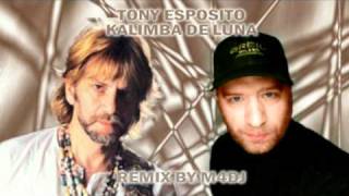 Tony Esposito Kalimba de Luna remix by m4dj [upl. by Letreece255]