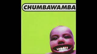 Chumbawamba  Amnesia [upl. by Valoniah592]