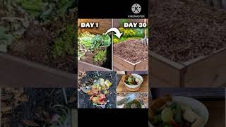 Composting Basics Turning Kitchen Scraps into Garden Gold mygarden uk garden plantvegetables [upl. by Niletac]