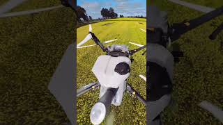 DJI Agras T50 360 view of canola field agriculturedrone quadcopter drone djiagras djiagrast50 [upl. by Niraj]