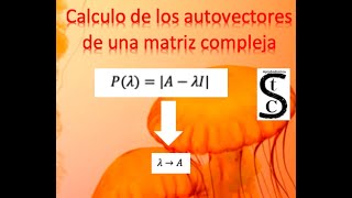 Calculo de autovectores de una matriz compleja Calculo complejo [upl. by Redmer]