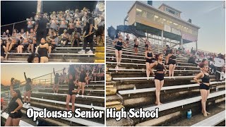 Opelousas Senior High School quotTigerquot Marching Band • “Highlightsquot  LCCP vs Opelousas Sr High 2024 [upl. by Rempe]