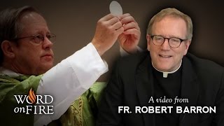 Bishop Barron on the Real Presence of Christ in the Eucharist [upl. by Meter]