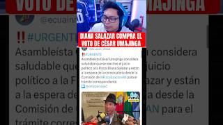 Diana Salazar compró el voto de Cesar UMAJINGA news ecuador noticias viral fyp [upl. by Moira228]