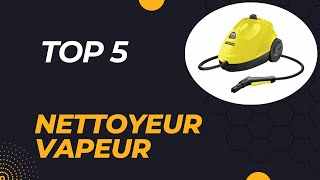 Top 5 Meilleurs Nettoyeurs Vapeur 2024  Guide Complet [upl. by Damalis]