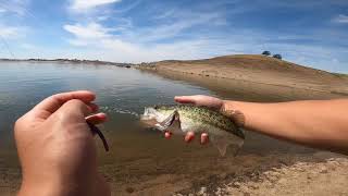 Fishing at Millerton Lake CA 2023 [upl. by Jasmin347]