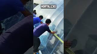 Después de todo ¿por qué los chinos están prendiendo fuego al oleoducto😮 shortsvideo [upl. by Tryck]