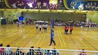 2019 B Div EZ Boys Final SHS vs DMN 21 set 3 [upl. by Demona]