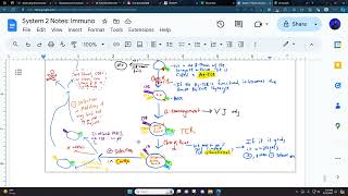 TCell development explained [upl. by Dde]