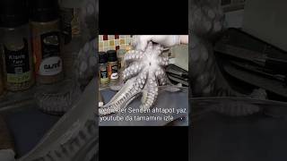 Bu 3 meze dükkan açtırır yemek mezetarifi eat Ahtapot Mezeleri [upl. by Haland262]