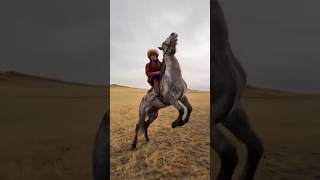 that looks so powerful 😮🐎🐎 horse rider youtubeshorts shortsviral [upl. by Selda]