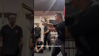 Mastering Wing Chun Exploring the Effective Horizontal Palm Technique  Master Tu Tengyao [upl. by Ajat]