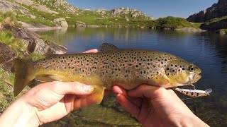 Pêche de la truite au leurre en lac de montagne dans les pyrénées  n°2 [upl. by Ayote]