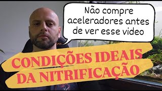 CONDIÇÕES IDEAIS DA NITRIFICAÇÃO  A ALMA DO SEU AQUÁRIO [upl. by Erlinna759]