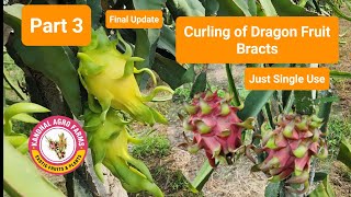 Part 3 Final Update of Curling of bracts [upl. by Feerahs875]