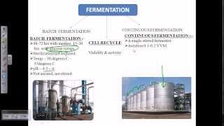 Alcohol fermentation overview [upl. by Anneirb]