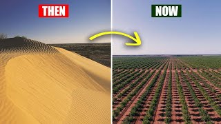 How Australia is Regreening its Deserts Back into a Green Oasis [upl. by Ciredec136]