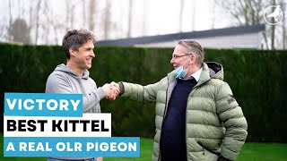 Story of Victory Best Kittel A Real One Loft Race Pigeon [upl. by Anohsal]