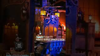 PIRATES VOYAGE SHOW amp DINNER Tennessee Smoky Mountains travel pigeonforge tennessee shorts [upl. by Margret]