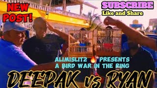 DEEPAK vs RYAN🔥CORRIVERTON BIRD RACING CLUB TOWA TOWA BIRD WHISTLING COMPETITION IN CORRIVERTON 🇬🇾 [upl. by Gladdy484]