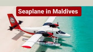 seaplane or water plane transfer maldives sea seaplanes water plain [upl. by Brunelle]