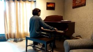 Rockin pneumonia and the boogie woogie flu  adrians piano cover [upl. by Winou]