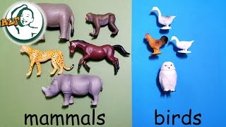 Learn animal classification and animal sounds for kids with Tomy Ania Animal part 2 アニア アニマルだ [upl. by Philemon]