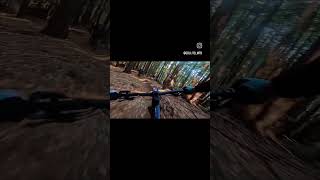 Flow Trail Fun  Scott Patron ERide 920 emtb mtb mountainbikeaction [upl. by Egroej11]