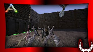 Pteranodon Breeding  Ark Survival Evolved Cluster Series EP9 [upl. by Bushweller897]