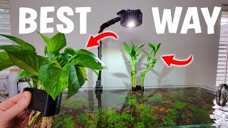 BEST Way To Display Houseplants In Your Aquarium  Full Tutorial [upl. by Ellissa]