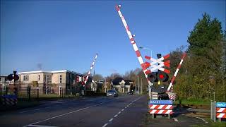 Spoorwegovergang Franeker  Dutch railroad crossing [upl. by Rephotsirhc]