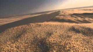 Aeolian Dune Building Oceano Dunes CA [upl. by Ira665]