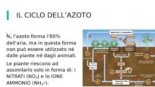 CICLI BIOGEOCHIMICI Ciclo dellAcqua Ciclo del Carbonio Ciclo dellAzoto [upl. by Ahsetel]