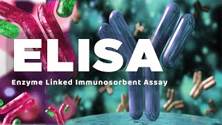 ELISA  Enzyme linked immunosorbent assay [upl. by Ydaf]